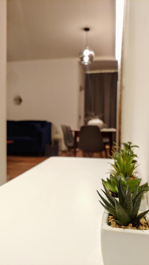 Apartament Chopin Gliwice 아파트 외부 사진